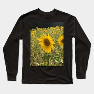 Sunflower Field Long Sleeve T-Shirt